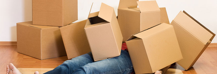 Movers Qatar